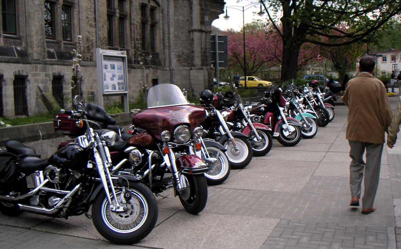 Harz-01-Mai-2005-39.jpg