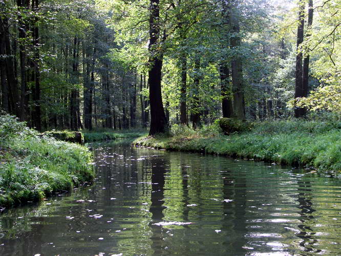 Spreewald-2005-12.jpg