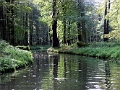 Spreewald-2005-12