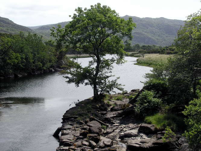 Irland-2006-123.jpg