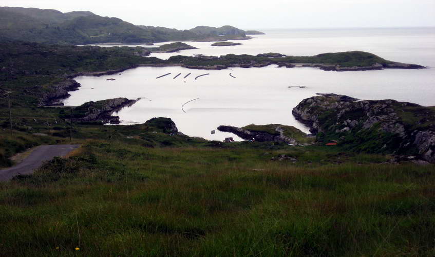 Irland-2006-150.jpg