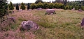 Irland-2006-148