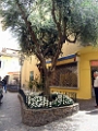 St-Tropez-2007-088