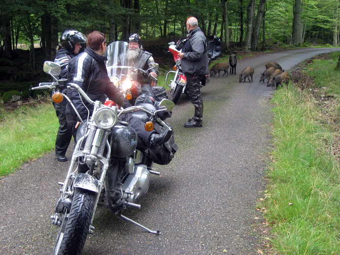 Schweden-2007-019.jpg