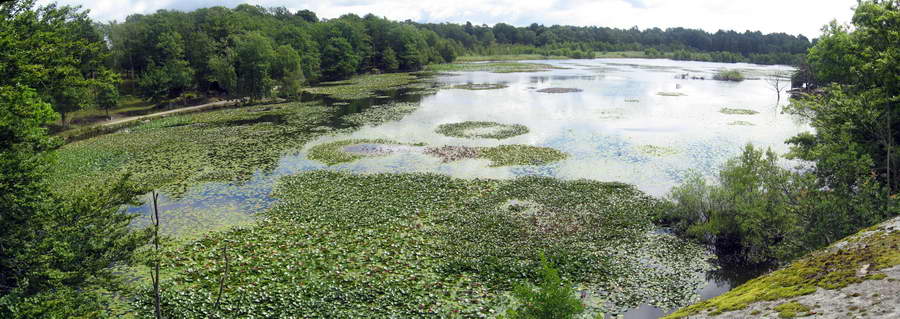 Schweden-2007-021.jpg
