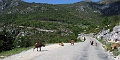 StTropez-2008-086