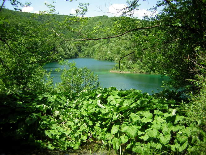 Kroatien-2010-057.jpg - im Nationalpark Plitvicer Seen