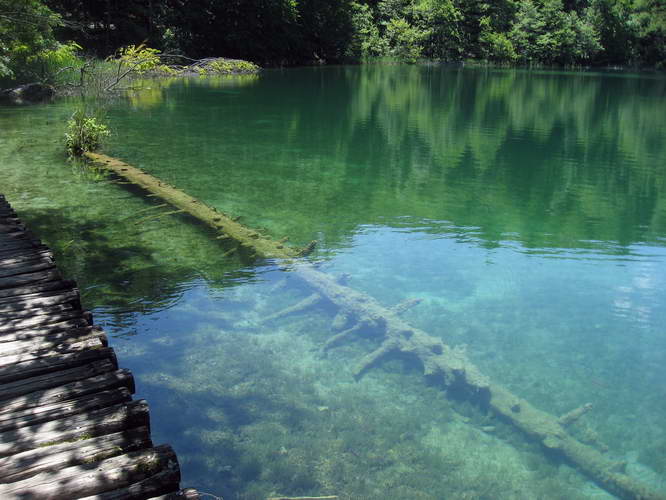 Kroatien-2010-064.JPG - im Nationalpark Plitvicer Seen