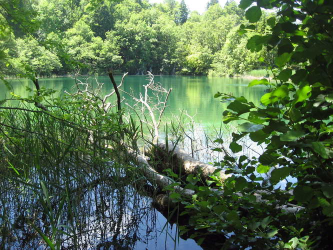 Kroatien-2010-065.JPG - im Nationalpark Plitvicer Seen