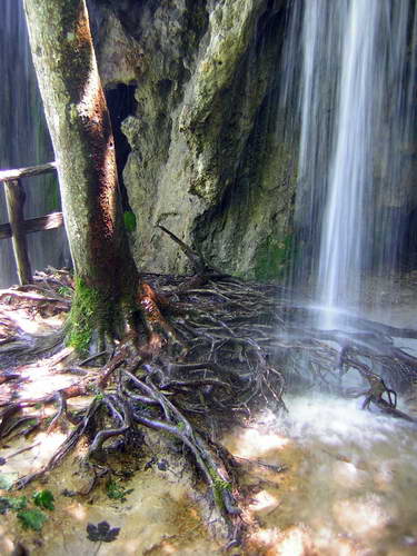 Kroatien-2010-070.jpg - im Nationalpark Plitvicer Seen