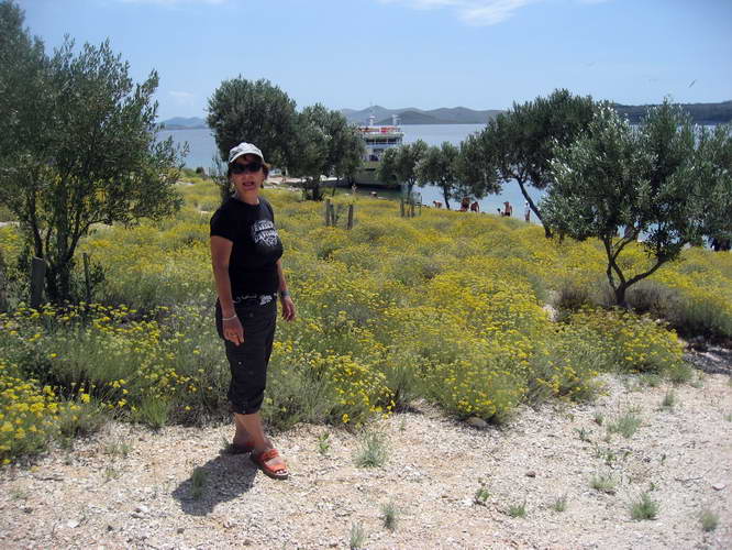 Kroatien-2010-146.JPG - Landgang auf einer der Inseln