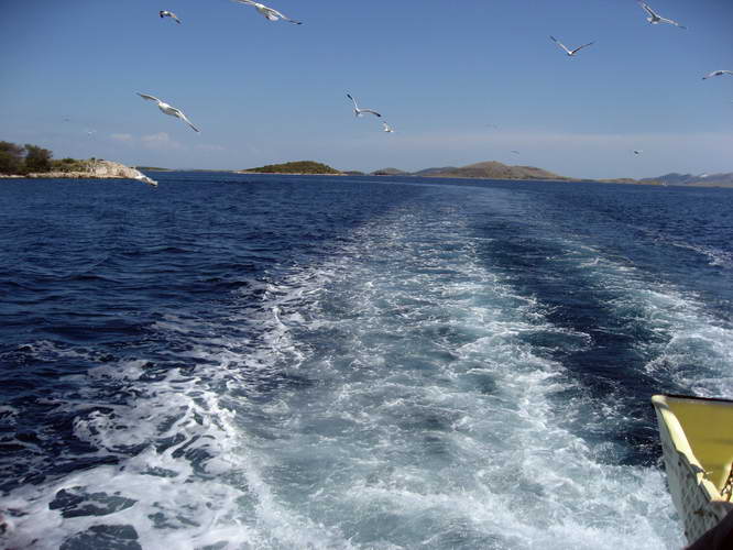Kroatien-2010-151.JPG - der Nationalpark Kornati