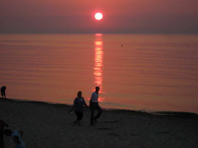 Kuebo-Juli-2010-31.jpg - bald ist sie weg