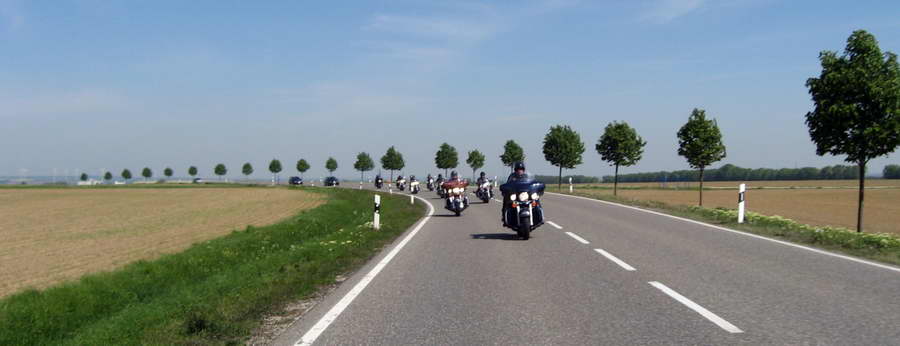 Party-SHSC-2011-23.jpg