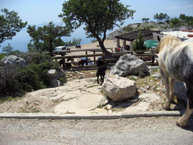 Kroatien-2011-078.jpg - und zurück zur Vrata Biokova