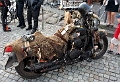 Mueritz-Rally-2012-132
