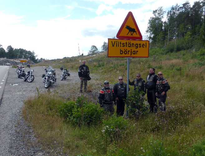 Schweden-2014-41.jpg