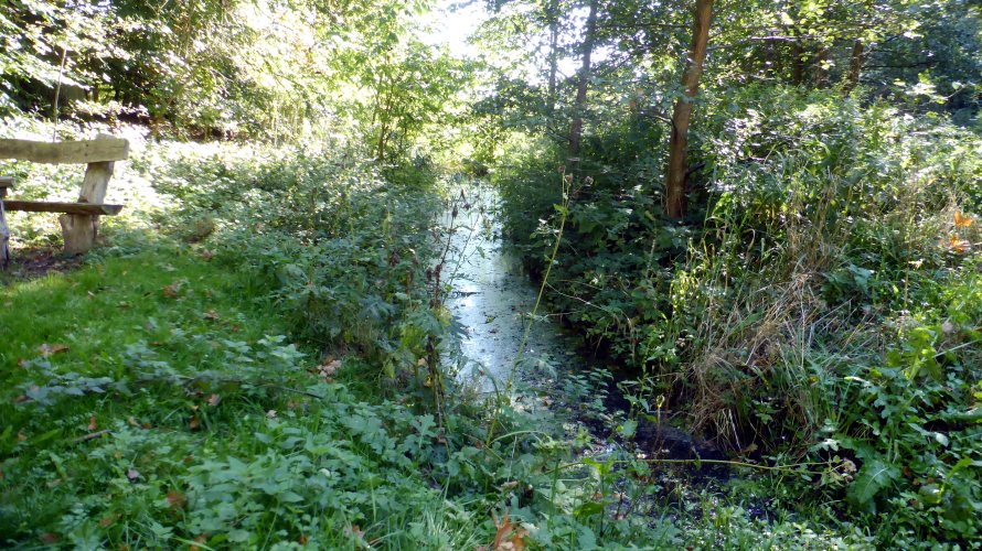 Abschlusstour-2015-14.jpg - die ersten Meter der Havel