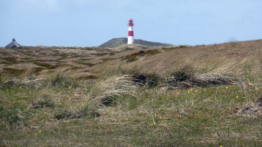 Sylt-2015-21.JPG