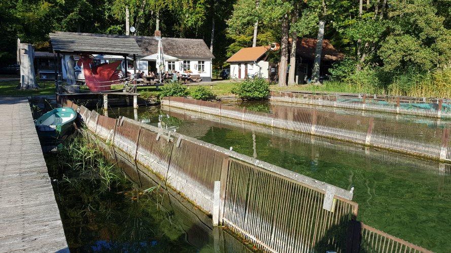 Abschlussfahrt-2018-02.jpg - beim Fischer am Stechlinsee