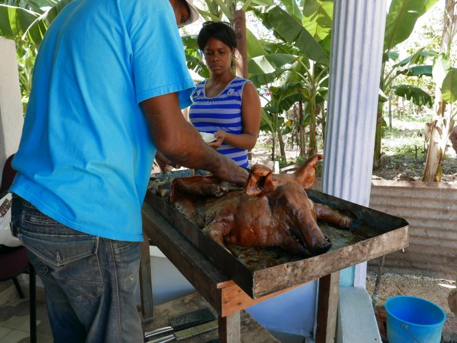 P1000895.JPG