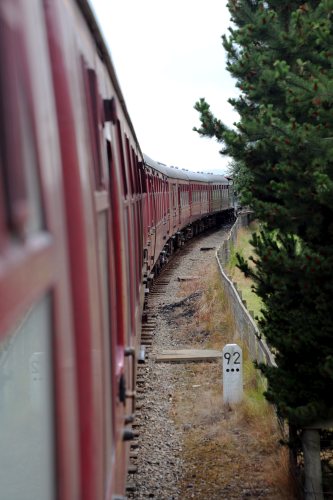 Schottland-2018-140.jpg - The Strathspey Railway - von Aviemore über Boat of Garten nach Brommhill und zurück
