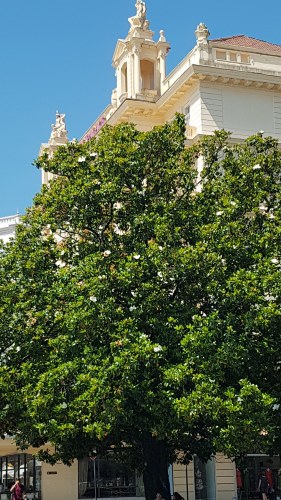 Istrien-2019-084.jpg