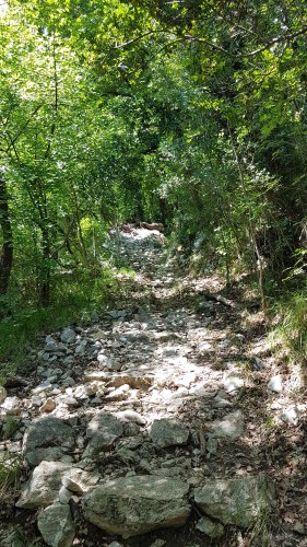 Istrien-2019-113.jpg