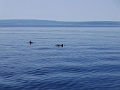 Istrien-2019-050