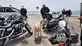 Istrien-2019-080