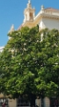 Istrien-2019-084