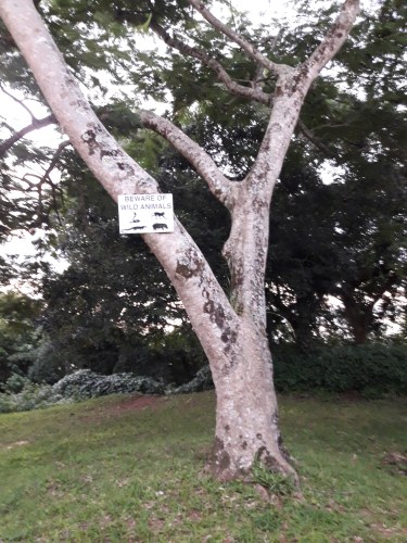 Sued-Afrika-2019-018.jpg