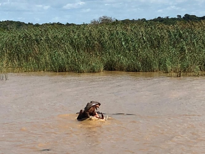 Sued-Afrika-2019-019.jpg