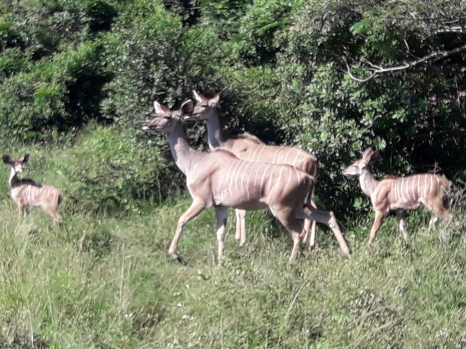 Sued-Afrika-2019-023.jpg