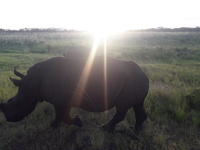 Sued-Afrika-2019-024.jpg