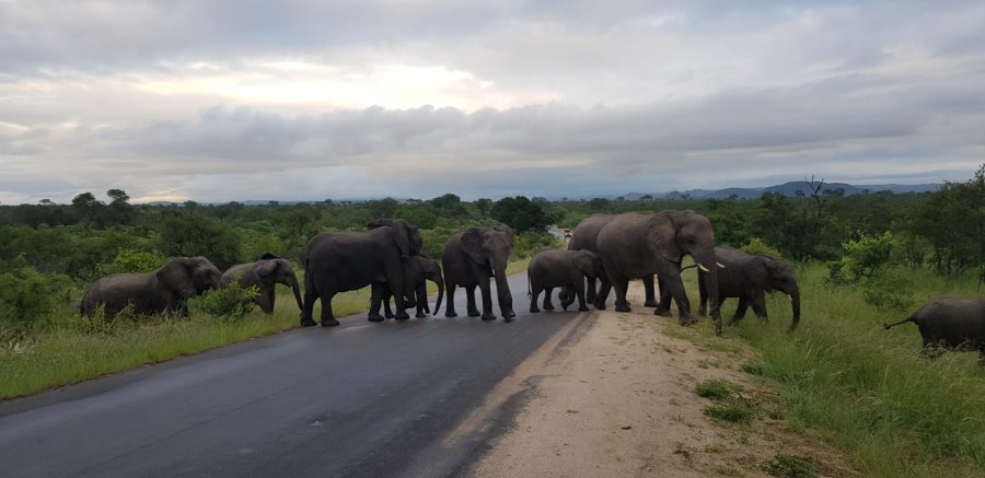 Sued-Afrika-2019-037.jpg