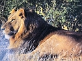 Sued-Afrika-2019-034
