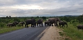 Sued-Afrika-2019-037