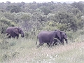 Sued-Afrika-2019-045