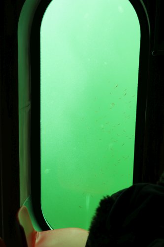 Zingst-2019-19.jpg