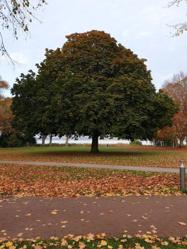 CDM-Nord-Herbst-2022-22.jpg