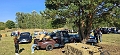 Airfield Club Race-16