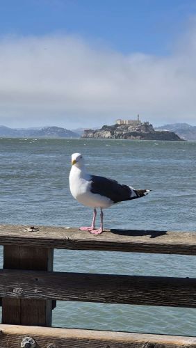Franz-USA-Tour-33.jpg