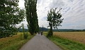 Harley-Days-Dresden-19