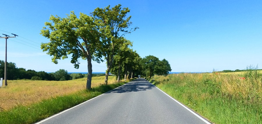 Kuehlungsborn im Juni-38.jpg