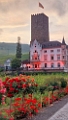 Ruedesheim-2024-41