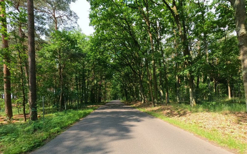 Preussen-62.jpg