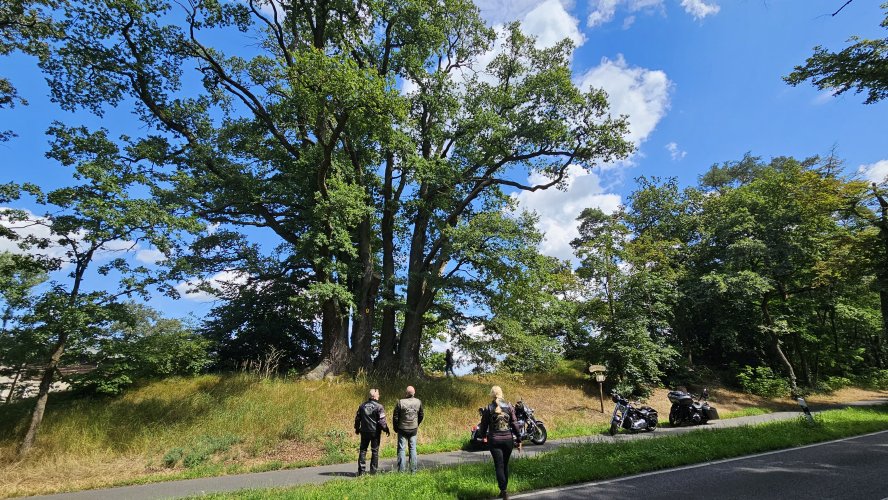 Tour zum Koenigsgrab bei Seddin-11.jpg