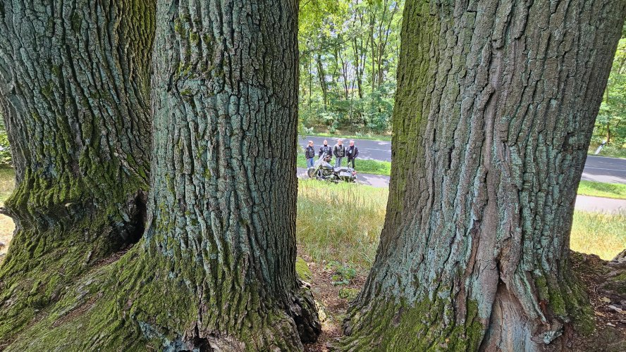 Tour zum Koenigsgrab bei Seddin-13.jpg