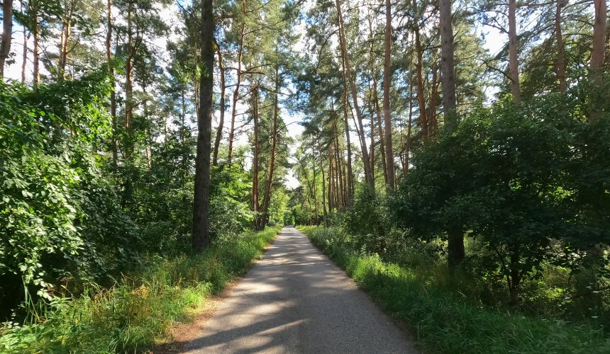 Tour zum Koenigsgrab bei Seddin-35.jpg